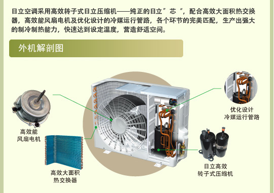 蜜桃精品成人影片特性